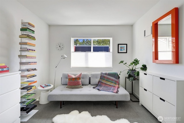 1117 34th Ave Unit B, Seattle, WA 98122 - sitting room with carpet