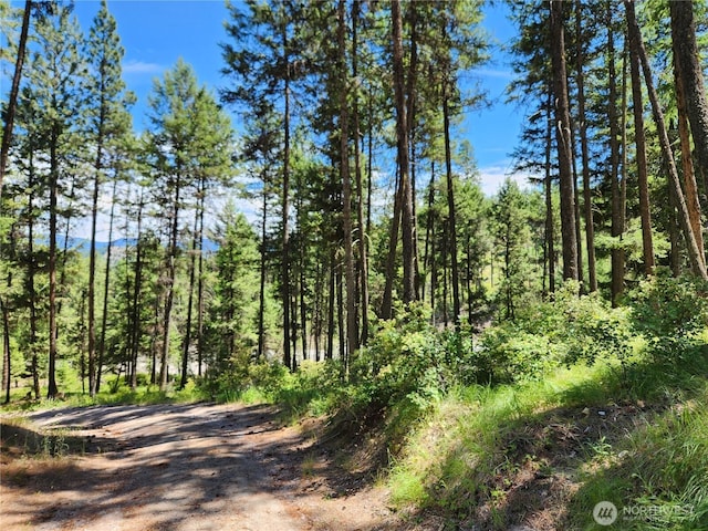 0LOT302 Klondike Rd, Republic, WA 99166 - photo 1