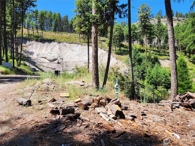 0LOT302 Klondike Rd, Republic, WA 99166 - photo 8