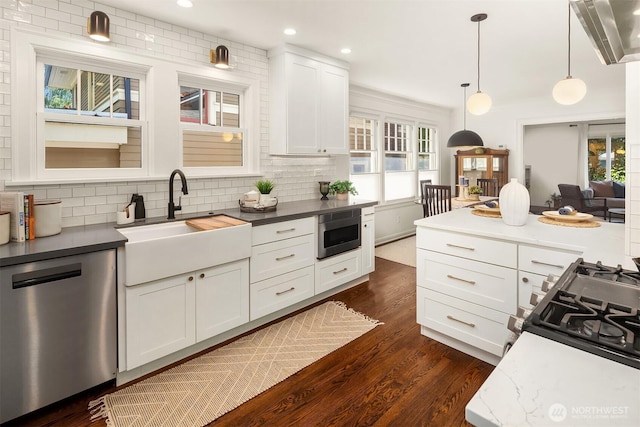 6518 18th Ave NE, Seattle, WA 98115 - kitchen with appliances with stainless steel finishes, plenty of natural light, decorative backsplash, dark wood-style floors, and recessed lighting