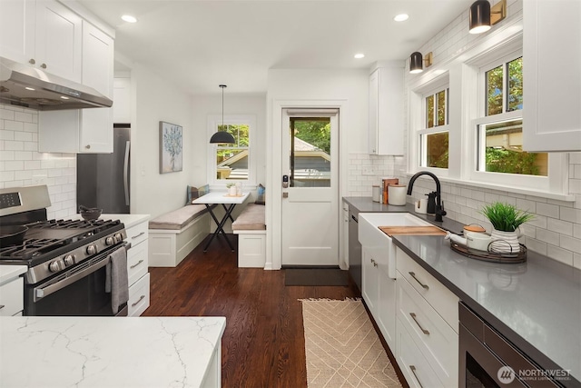 6518 18th Ave NE, Seattle, WA 98115 - kitchen with appliances with stainless steel finishes, range hood, decorative backsplash, dark wood-style flooring, and white cabinets