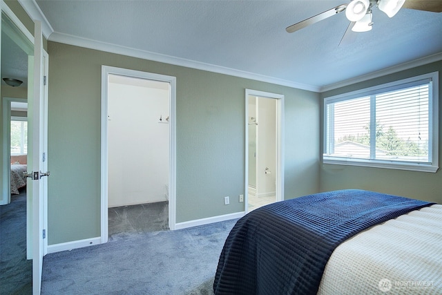 109 77th Pl SW, Everett, WA 98203 - bedroom with ornamental molding, carpet flooring, ceiling fan, ensuite bath, and a walk in closet