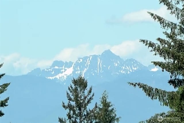 109 77th Pl SW, Everett, WA 98203 - mountain view