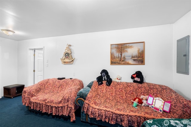 1869 Van Hoesen Rd, Onalaska, WA 98570 - carpeted bedroom featuring electric panel