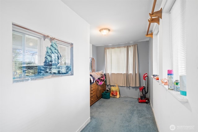 1869 Van Hoesen Rd, Onalaska, WA 98570 - hallway with carpet and baseboards