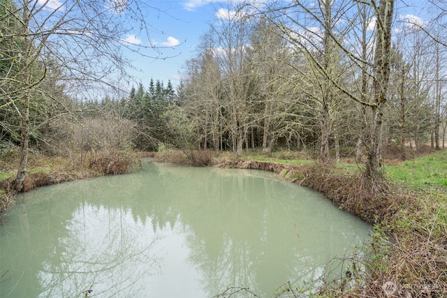 1869 Van Hoesen Rd, Onalaska, WA 98570 - water view