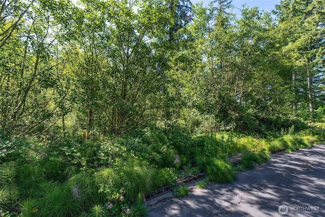 14 Forest Hills Ests, Longview, WA 98632
