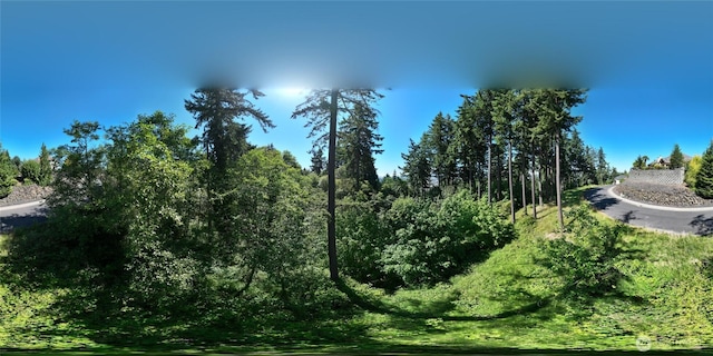 14 Forest Hills Ests, Longview, WA 98632