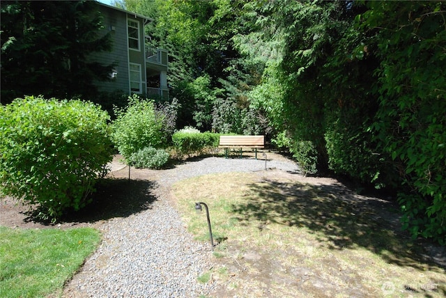 12712 Admiralty Way Unit B202, Everett, WA 98204 - view of yard
