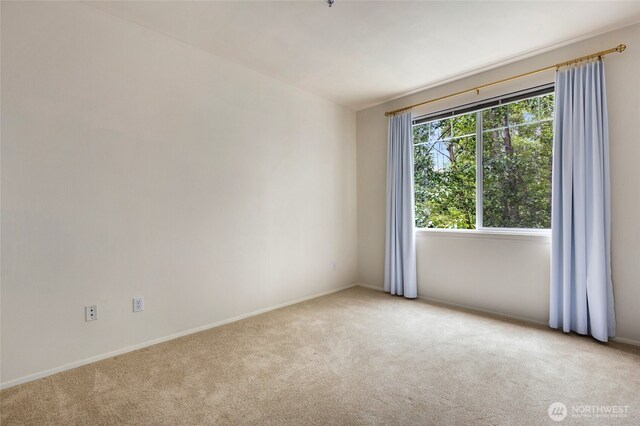 12712 Admiralty Way Unit B202, Everett, WA 98204 - carpeted empty room featuring baseboards