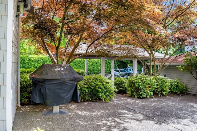 12712 Admiralty Way Unit B202, Everett, WA 98204 - view of patio with grilling area