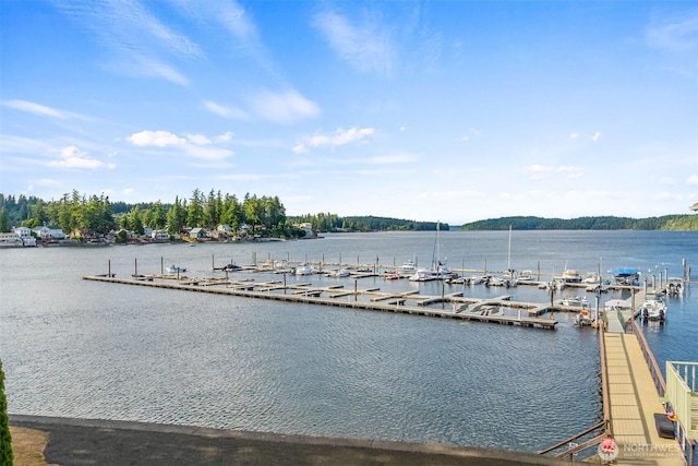 2412 Westwind Dr NW, Olympia, WA 98502 - photo 34