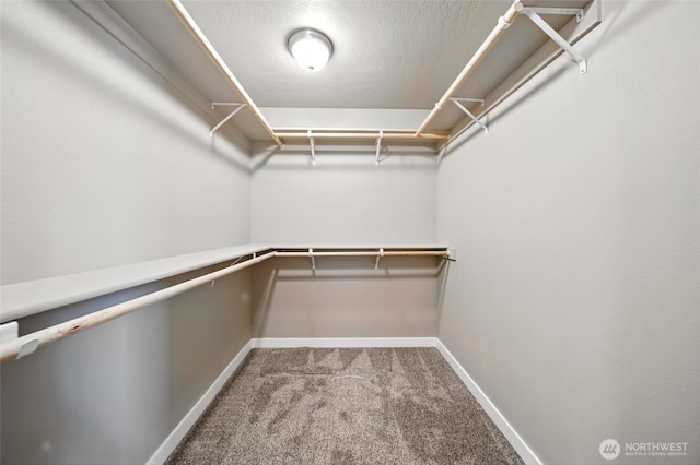 1330 Caprio Loop, Walla Walla, WA 99362 - walk in closet with carpet