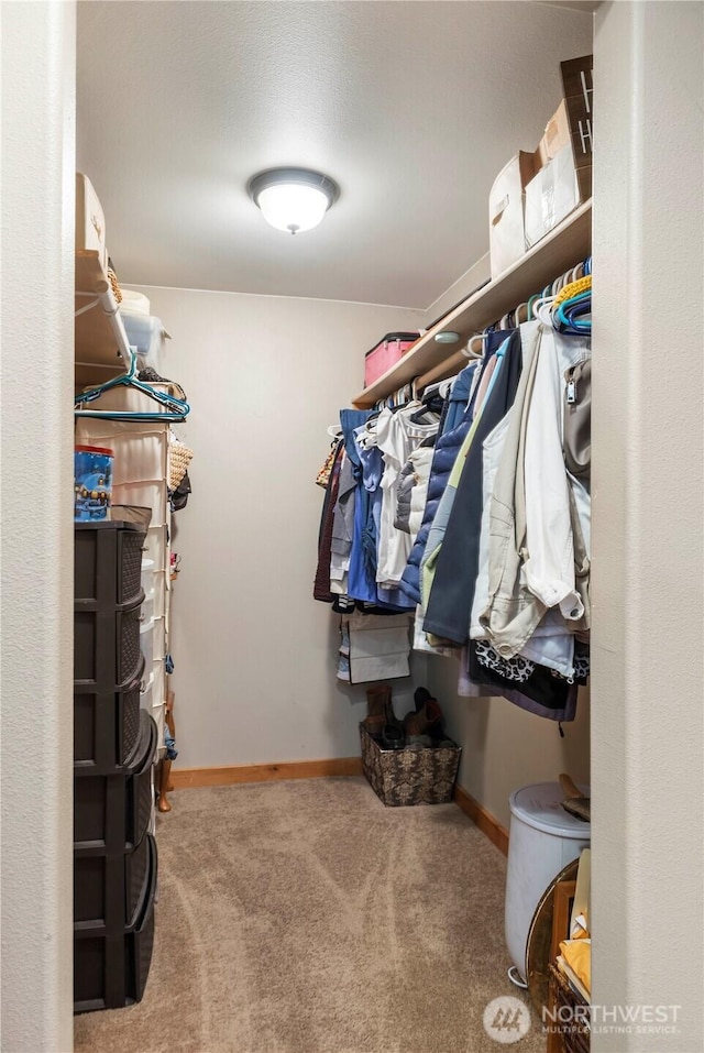 7541 187th Ave SW, Rochester, WA 98579 - photo 17