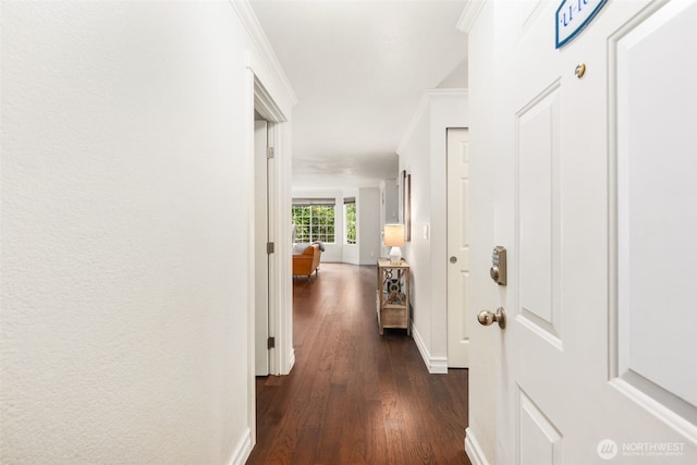 9822 NE 122nd St Unit U101, Kirkland, WA 98034 - hallway with dark wood-style floors and crown molding