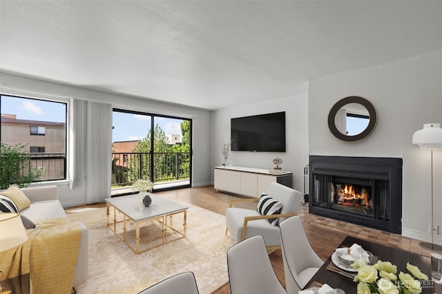 500 W Roy St Unit W103, Seattle, WA 98119 - living room featuring a warm lit fireplace and baseboards