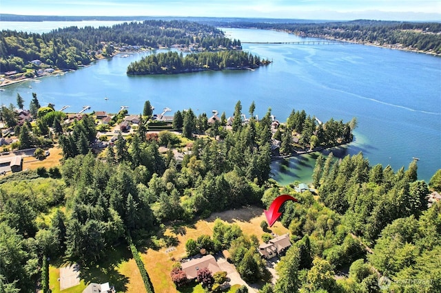 422 7th Ave, Fox Island, WA 98333 - photo 37