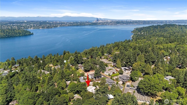 4728 86th Ave SE, Mercer Island, WA 98040 - bird's eye view of a water and mountain view and a forest