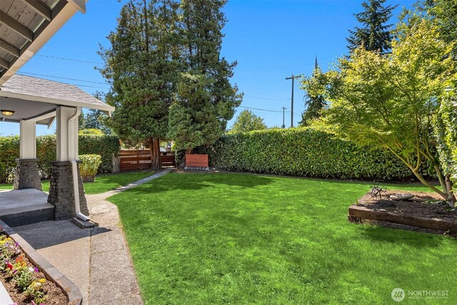 7554 34th Ave SW, Seattle, WA 98126 - view of yard