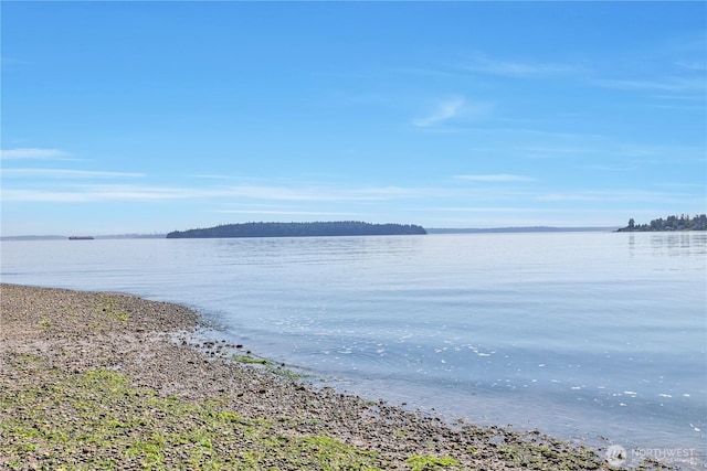 2216 Yukon Harbor Rd SE, Port Orchard, WA 98366 - photo 37