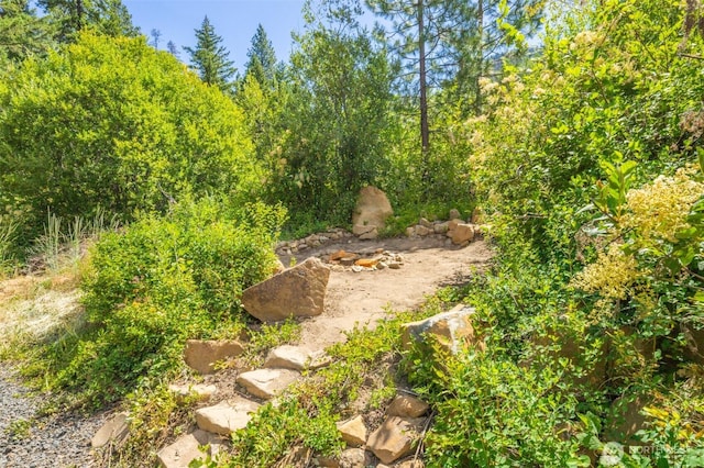 120 Noble Pl, Cle Elum, WA 98922 - photo 33