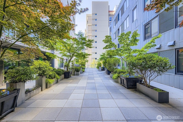 76 Cedar St Unit 806, Seattle, WA 98121 - view of property's community