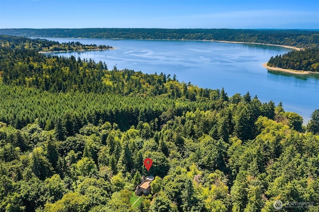 24917 Dockton Rd SW, Vashon, WA 98070 - bird's eye view of a forest and a nearby body of water