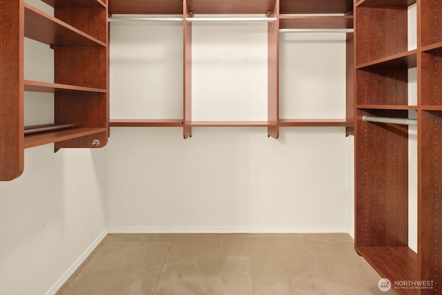 412 228th St SW Unit F101, Bothell, WA 98021 - spacious closet featuring carpet flooring