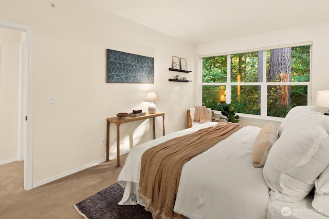 412 228th St SW Unit F101, Bothell, WA 98021 - bedroom with carpet floors and baseboards