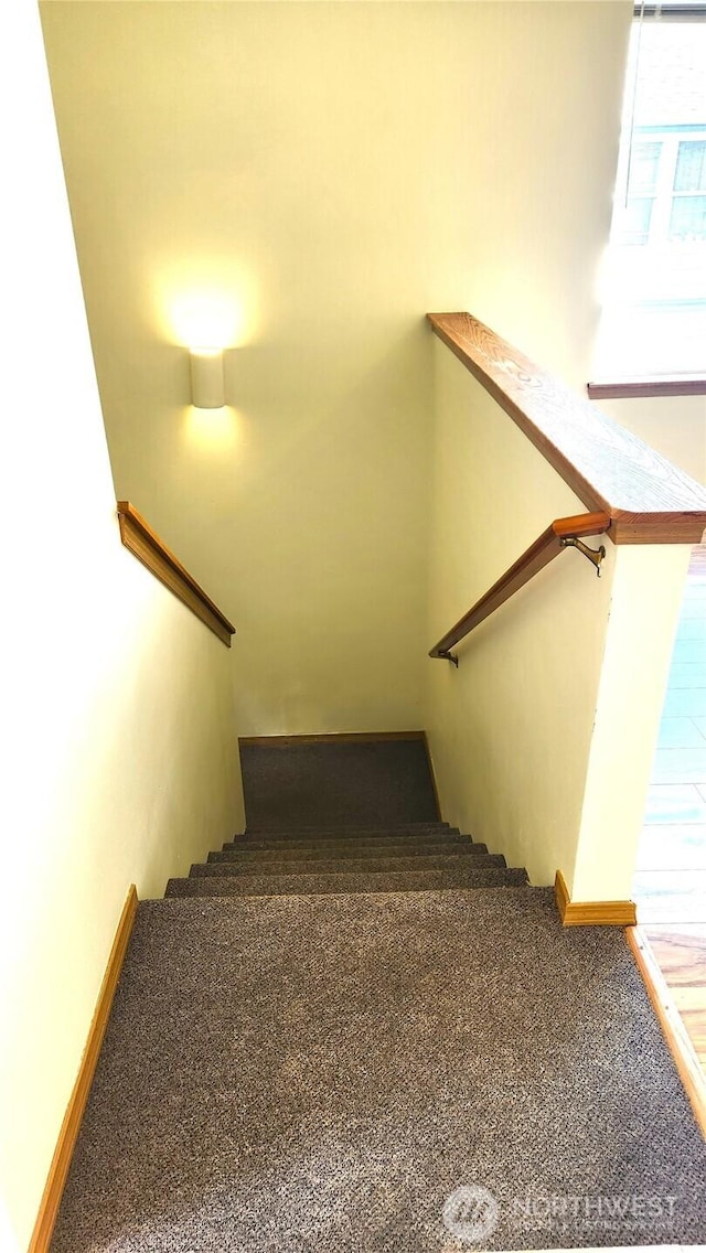 2316 Xenia St Unit 2316, Bellingham, WA 98229 - stairway with carpet floors