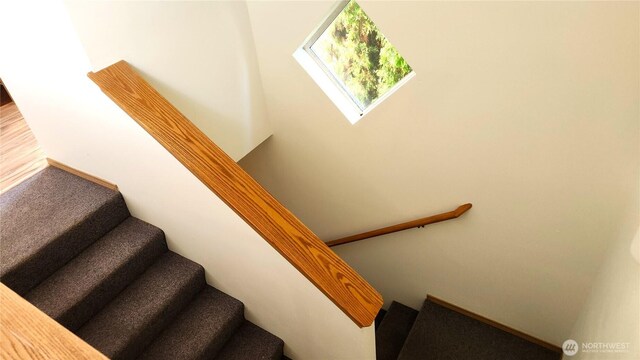 2316 Xenia St Unit 2316, Bellingham, WA 98229 - staircase featuring carpet floors