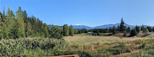 92 E Cobblestone Ln, Sequim, WA 98382 - photo 23