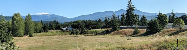 92 E Cobblestone Ln, Sequim, WA 98382 - photo 24