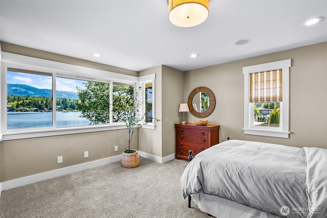17835 W Big Lake Blvd, Mount Vernon, WA 98274 - photo 18