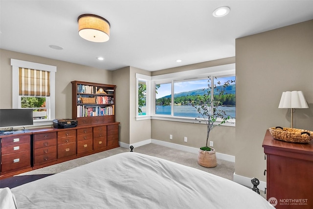 17835 W Big Lake Blvd, Mount Vernon, WA 98274 - photo 19