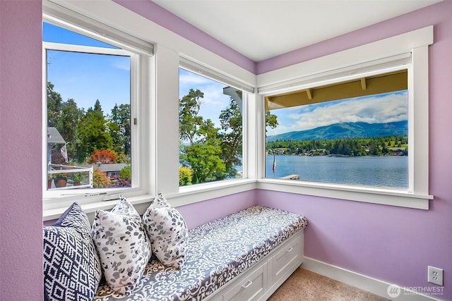 17835 W Big Lake Blvd, Mount Vernon, WA 98274 - photo 23