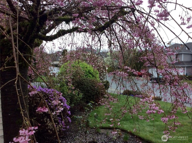 8123 129th Pl SE, Newcastle, WA 98056 - view of yard