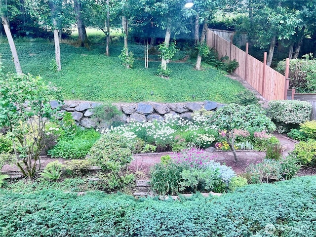 8123 129th Pl SE, Newcastle, WA 98056 - view of yard