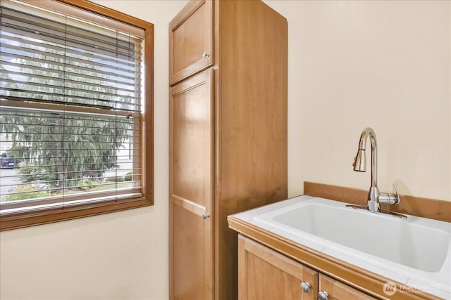 15203 148th Avenue Ct E, Orting, WA 98360 - kitchen featuring a sink and light countertops