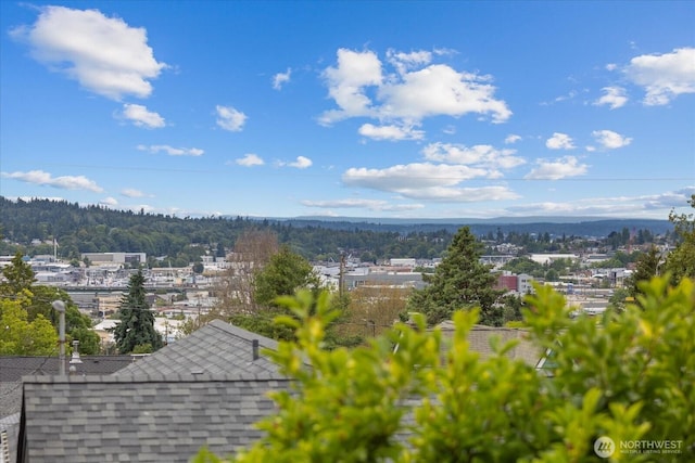 4301 1st Ave NW, Seattle, WA 98107 - drone / aerial view