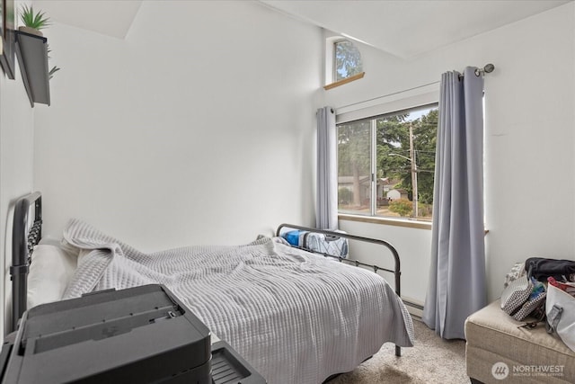 2826 NE 8th St, Renton, WA 98056 - view of carpeted bedroom