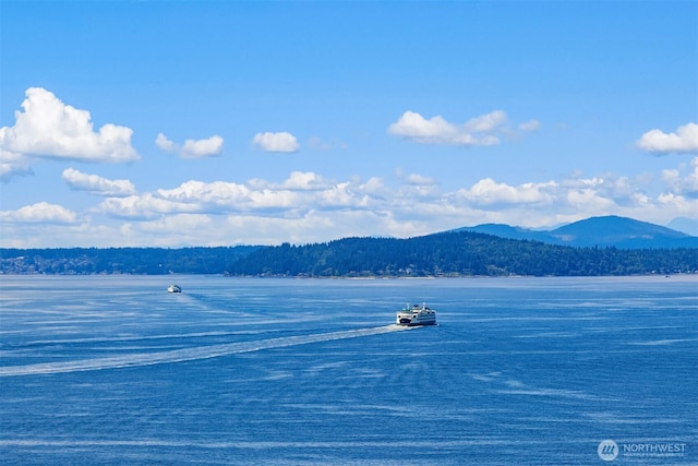 2033 2nd Ave Unit 703, Seattle, WA 98121 - water view with mountains and a forest