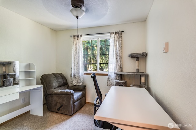 17502 Clear Lake Blvd SE, Yelm, WA 98597 - photo 19