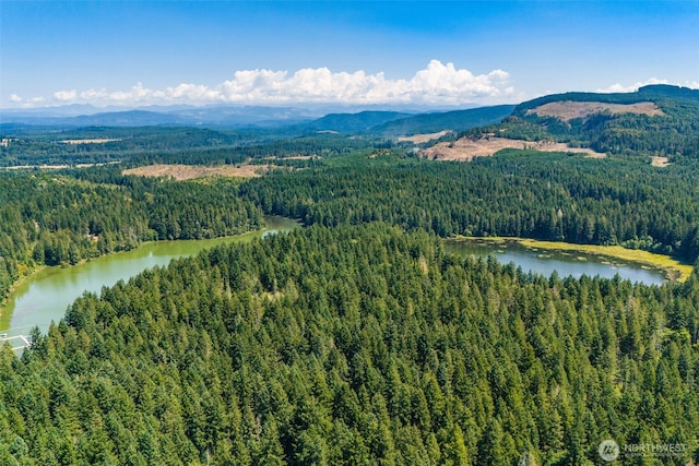 17502 Clear Lake Blvd SE, Yelm, WA 98597 - photo 36