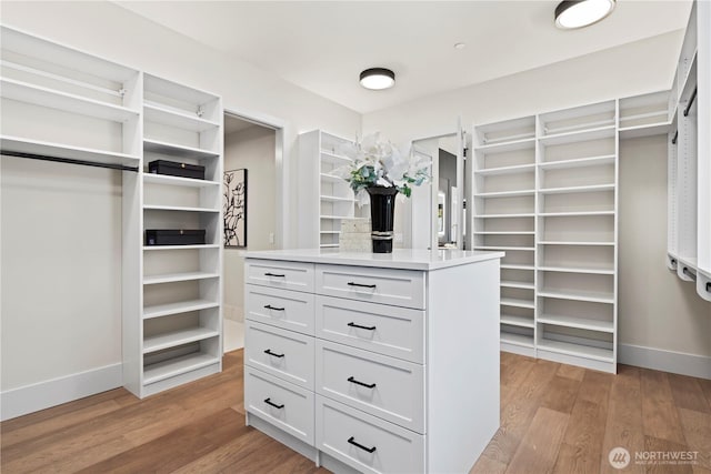 5515 108th Ave NE, Kirkland, WA 98033 - spacious closet with light wood-style flooring