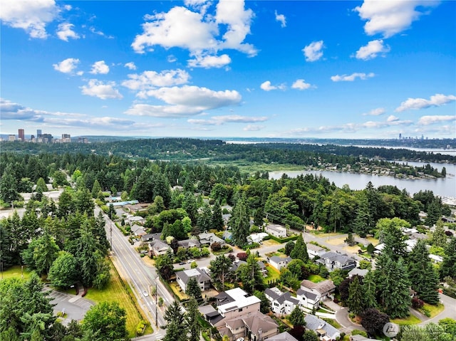 5515 108th Ave NE, Kirkland, WA 98033 - aerial view of residential area with a large body of water