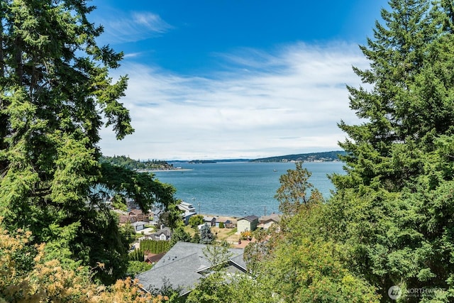 1107 Puesta Del Sol, Camano Island, WA 98282 - photo 30