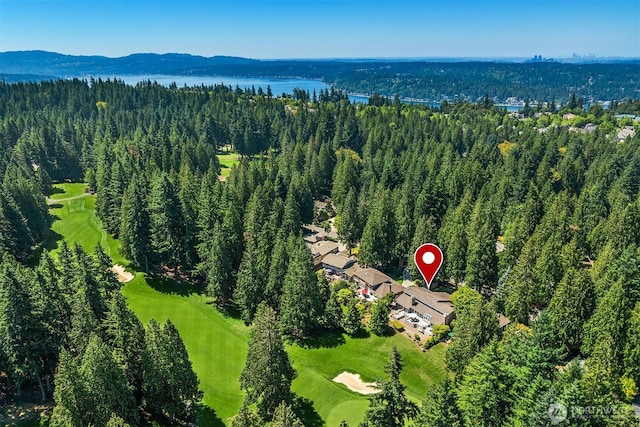 3126 211th Ave NE, Sammamish, WA 98074 - photo 37