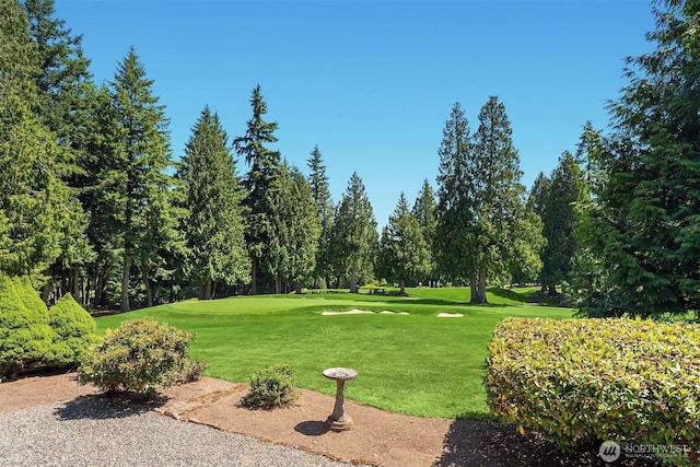 3126 211th Ave NE, Sammamish, WA 98074 - photo 34