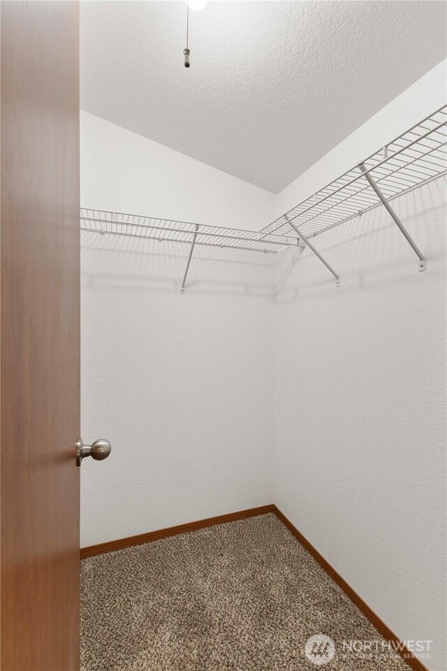 12407 Prairie Ridge Dr E, Bonney Lake, WA 98391 - spacious closet with carpet floors